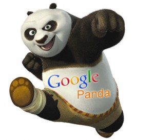 Nueva actualización Google Panda para SEO