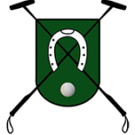 Diseñamos la web de Federación andaluza de Polo