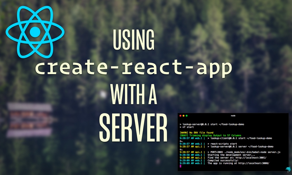 desarrollo de app con react para cliente