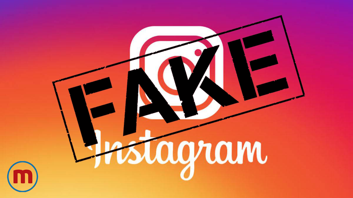 seguidores falsos en instagram