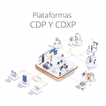 CDP y CDXP, ¿por qué debes implementarlas?