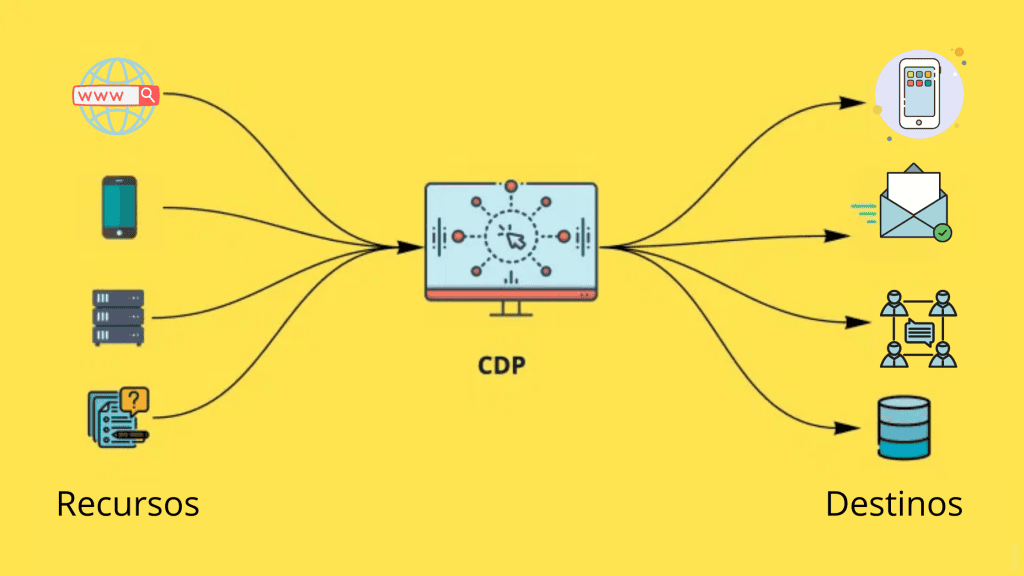 CDP Y CDXP