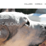 Diseño de la tienda online Collares Perros