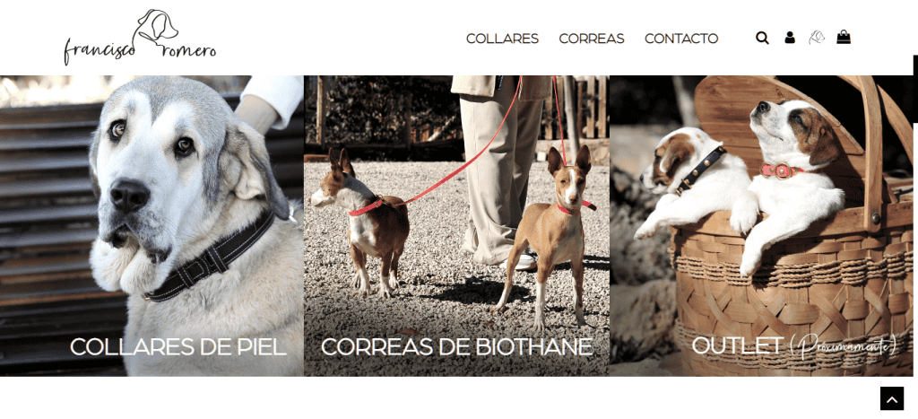 tienda online collares perros