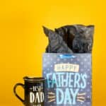 Ejemplo de éxito en una campaña para el día del padre